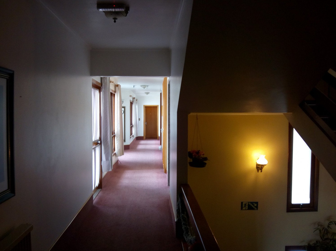 Hotel San Carlos主图