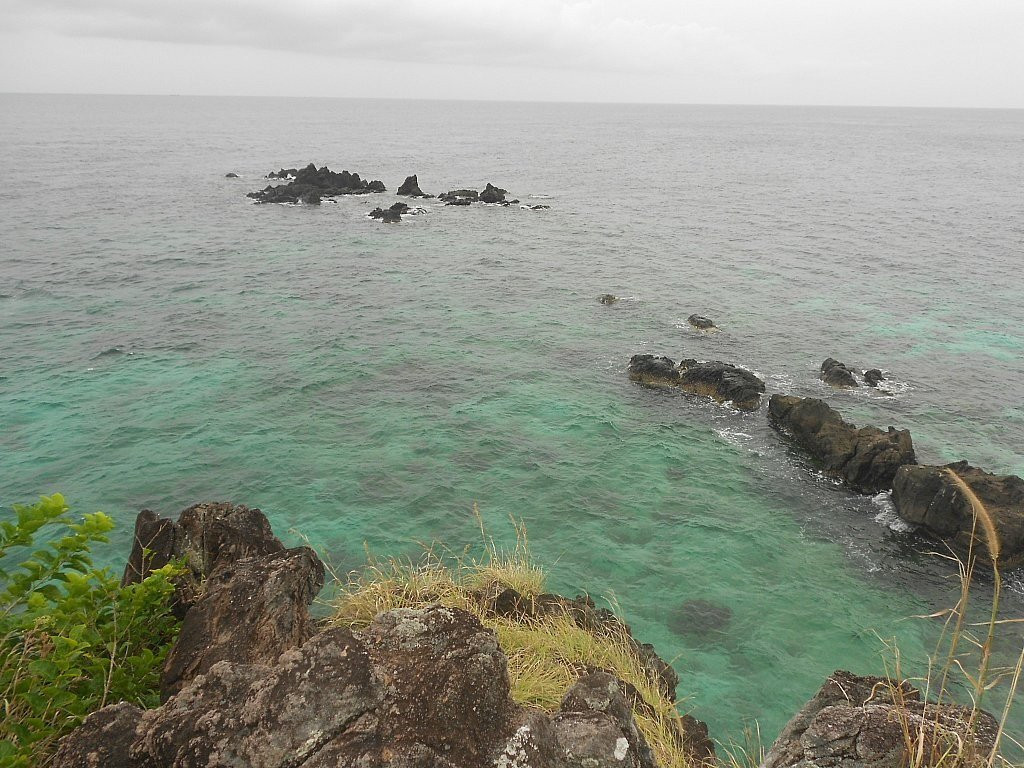 Apo Island View Deck景点图片