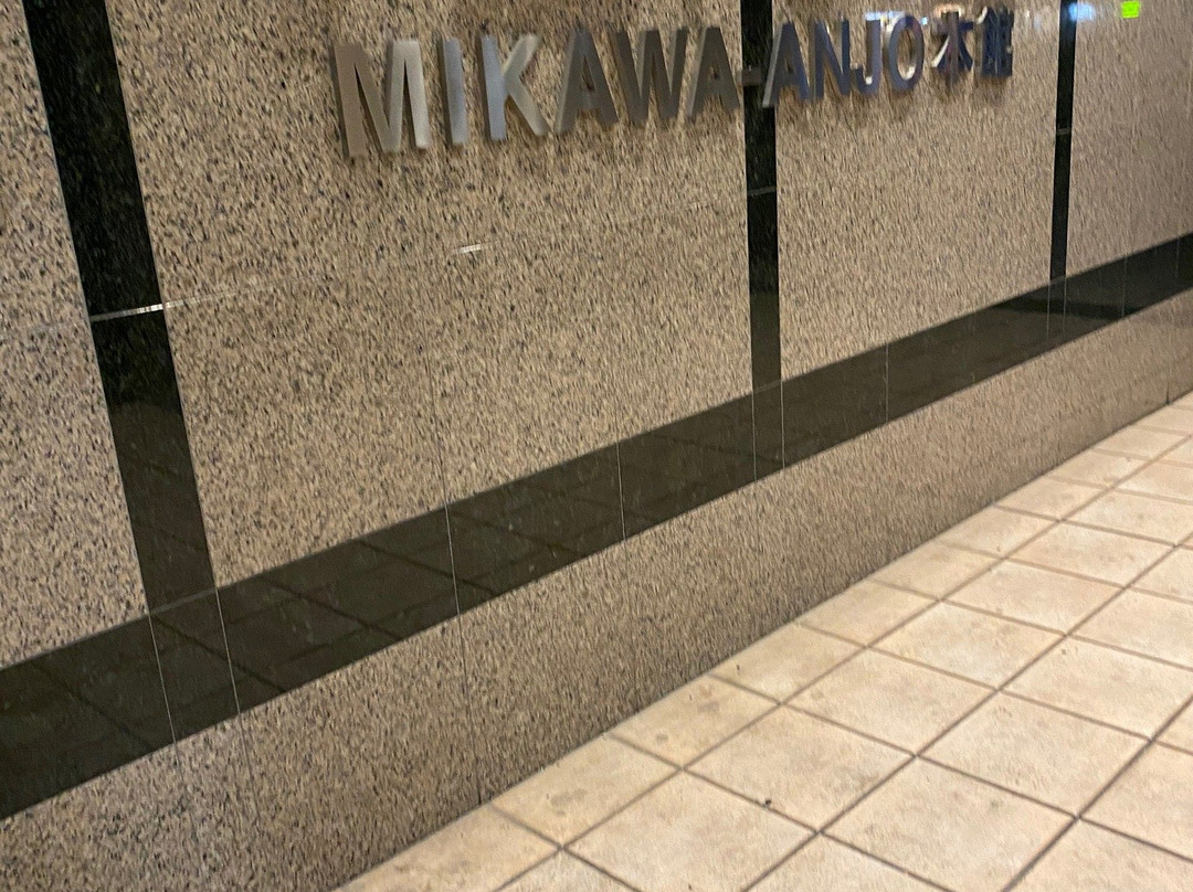 AB Hotel Mikawaanjo Honkan主图
