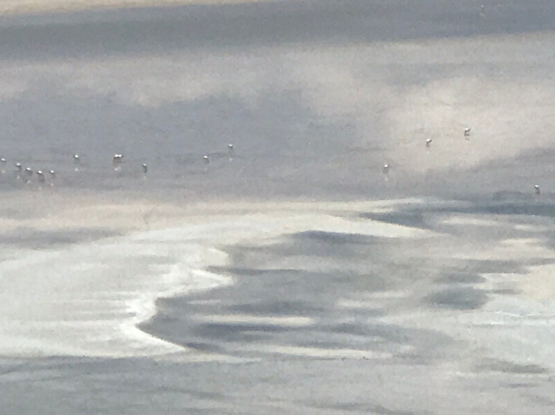 Laguna de Piedras景点图片