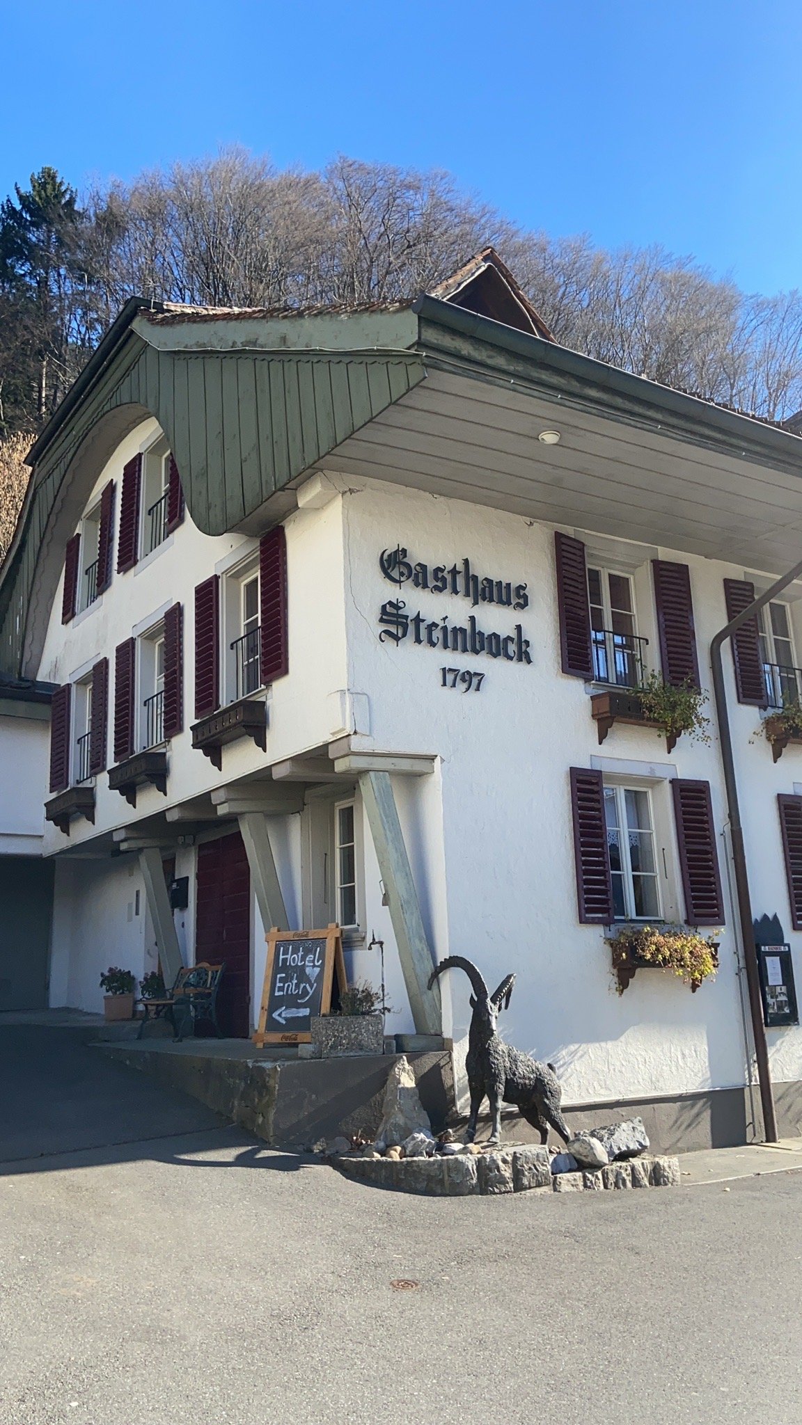 Hotel Steinbock-官方