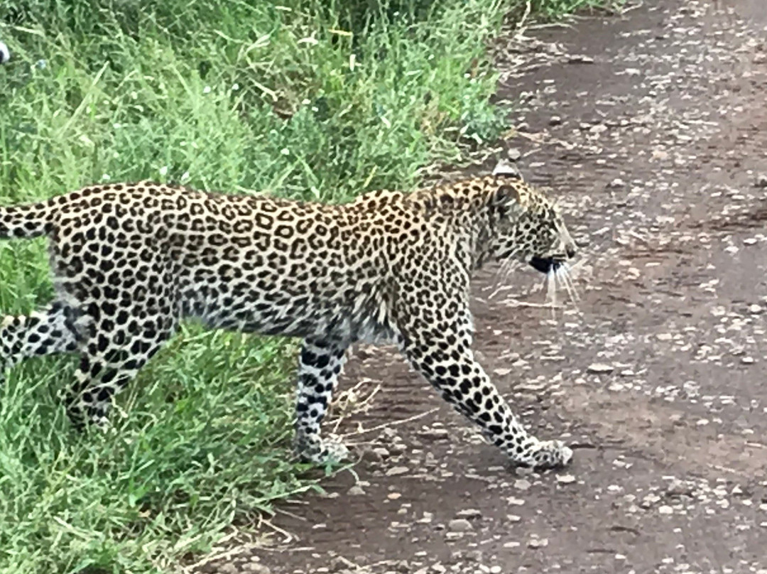 Kruger Pride Safaris-玛洛斯帕克必去景点