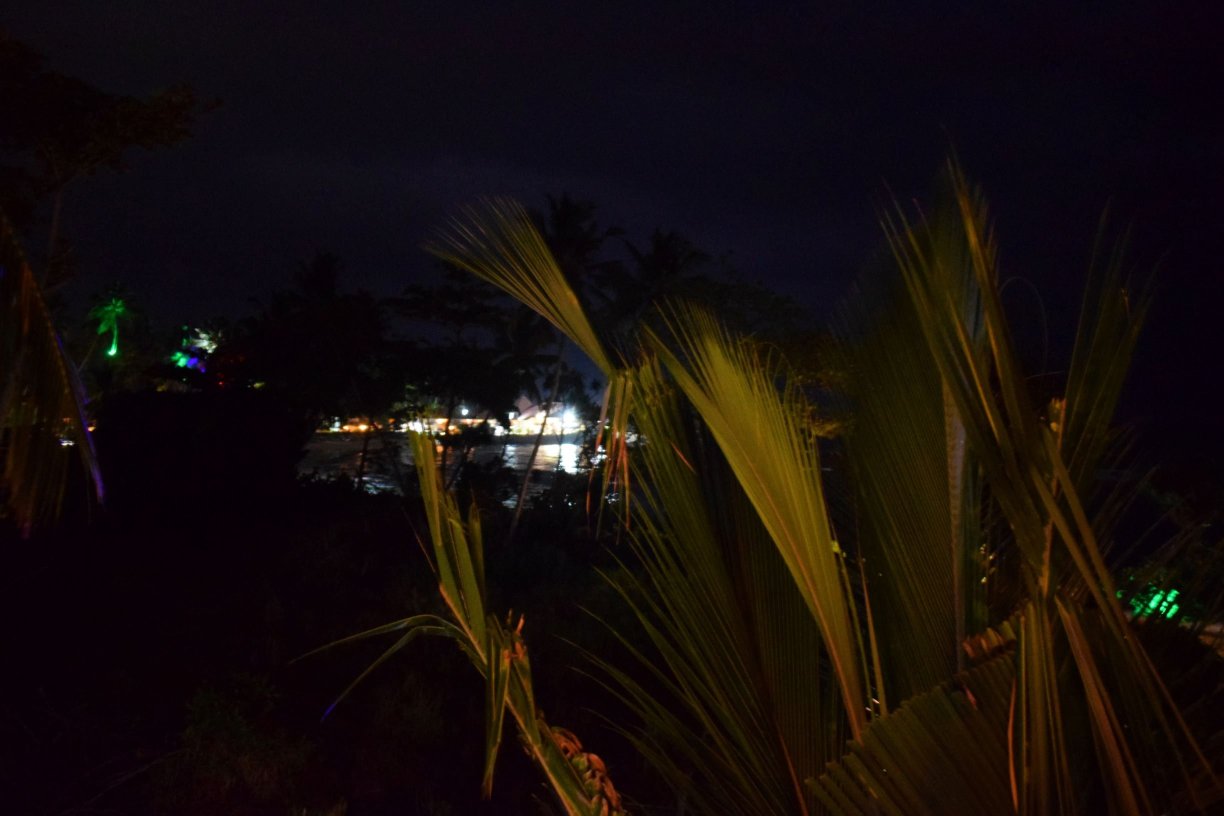 White Lion Paradise-餐饮