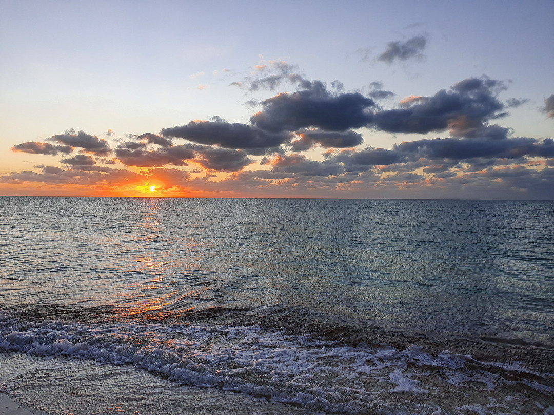 Playa 55 beach escape主图