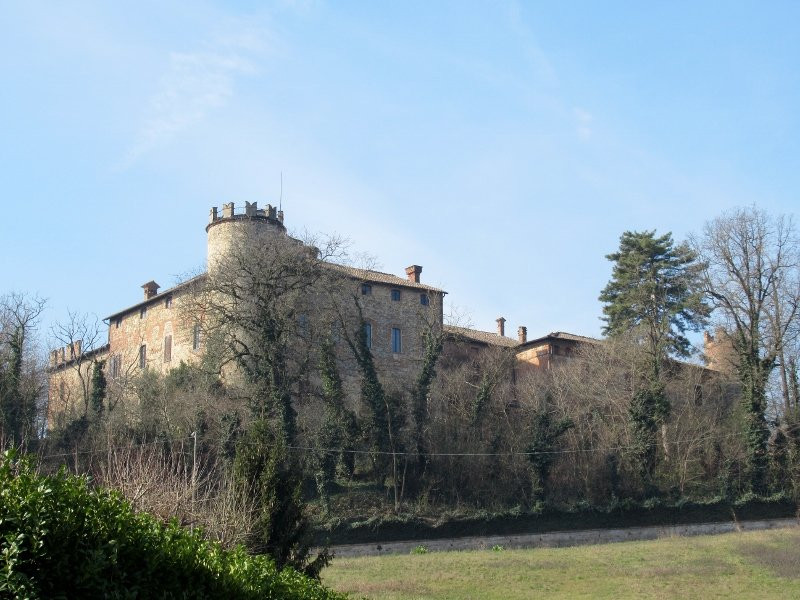 Castello di Castelnovo景点图片