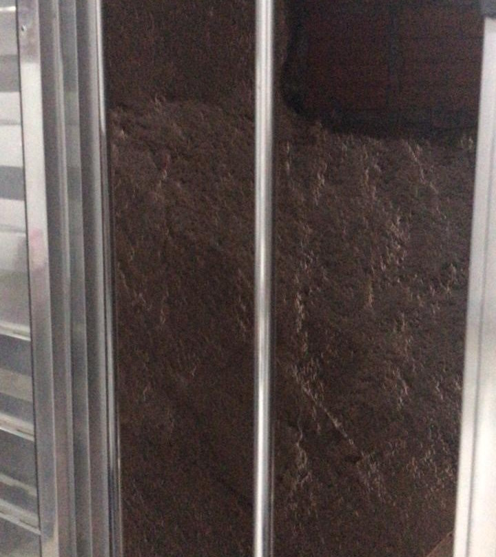 Augusto Palace Hotel主图