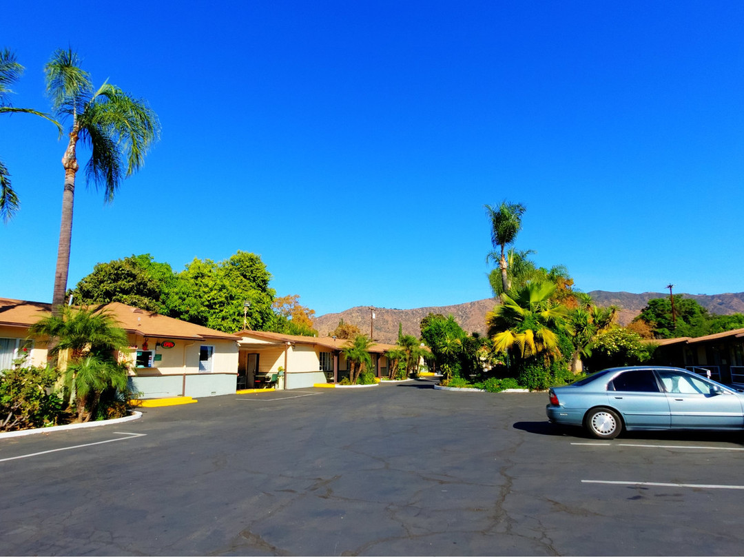 Palm Tropics Motel主图