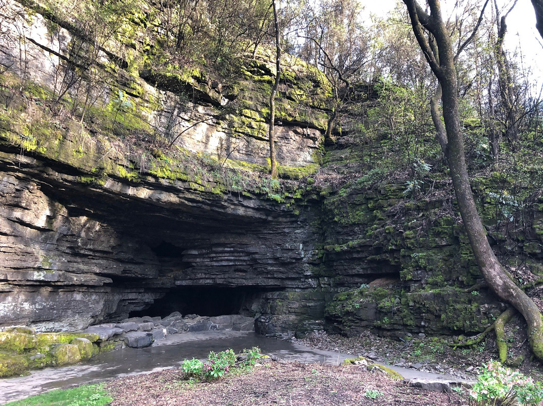 Cave Spring Hollow-Lynchburg必去景点
