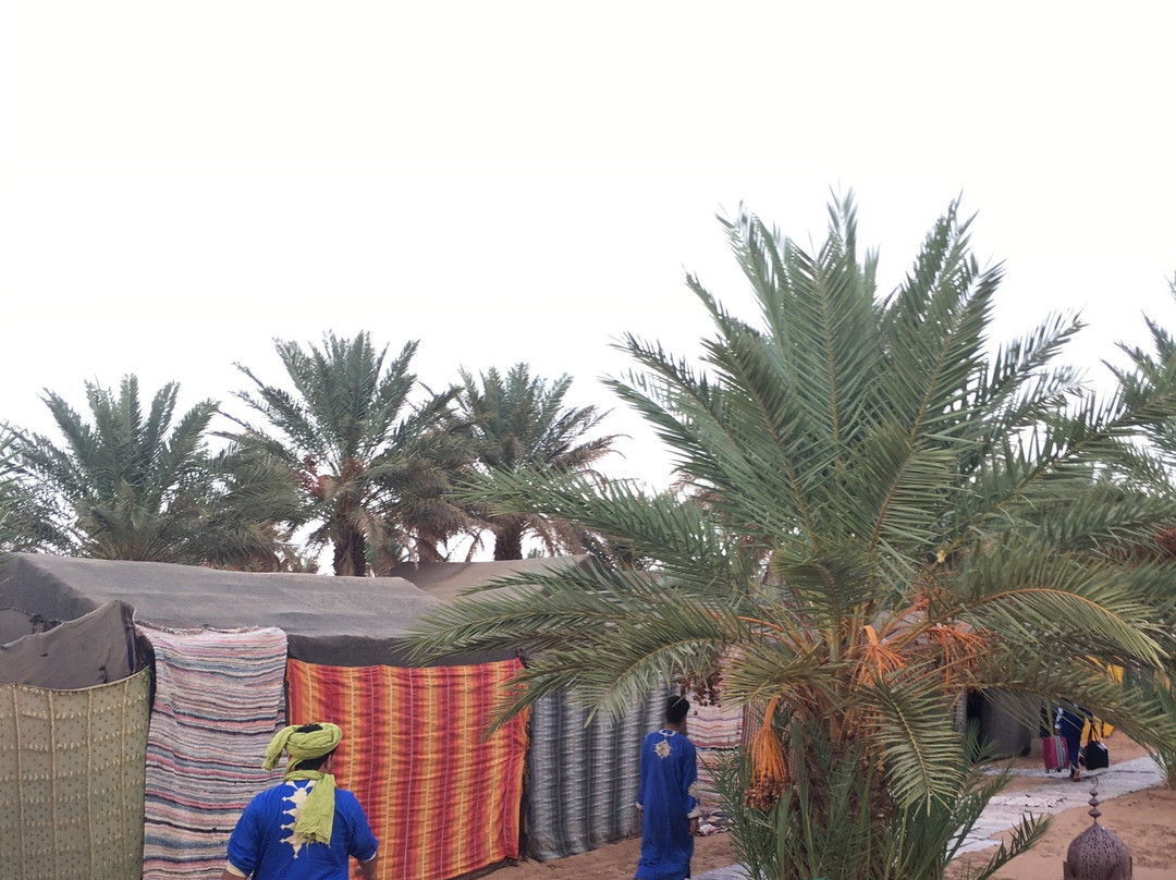 Moroccan Exploration-非斯必去景点