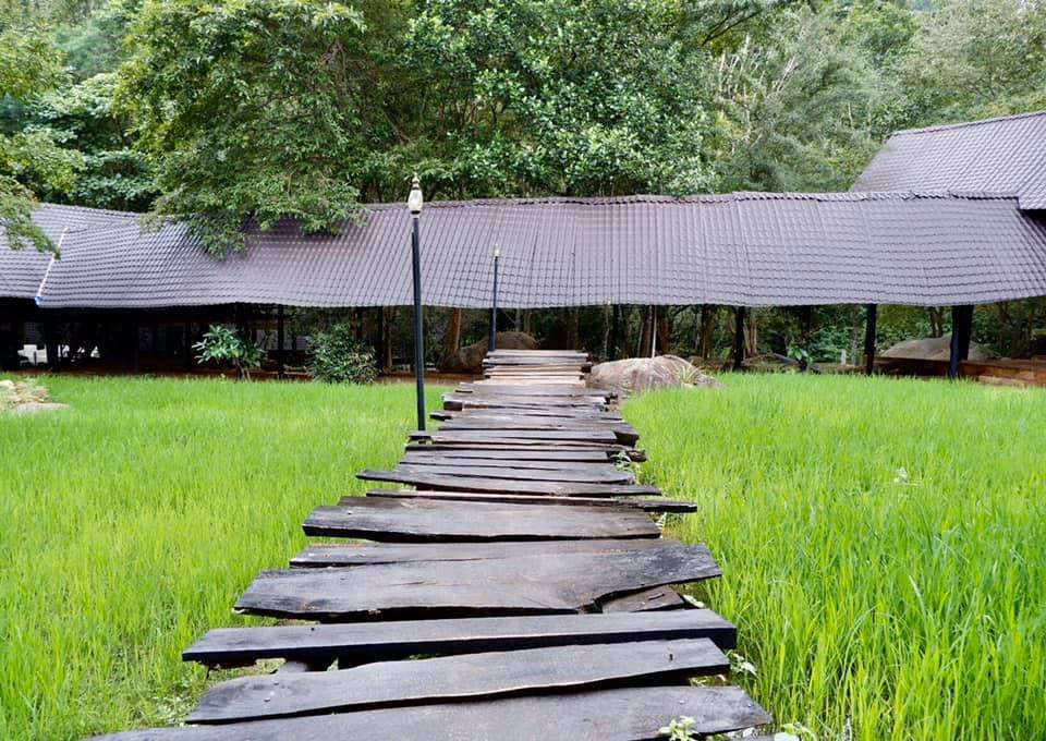 克里奥艾拉度假村主图