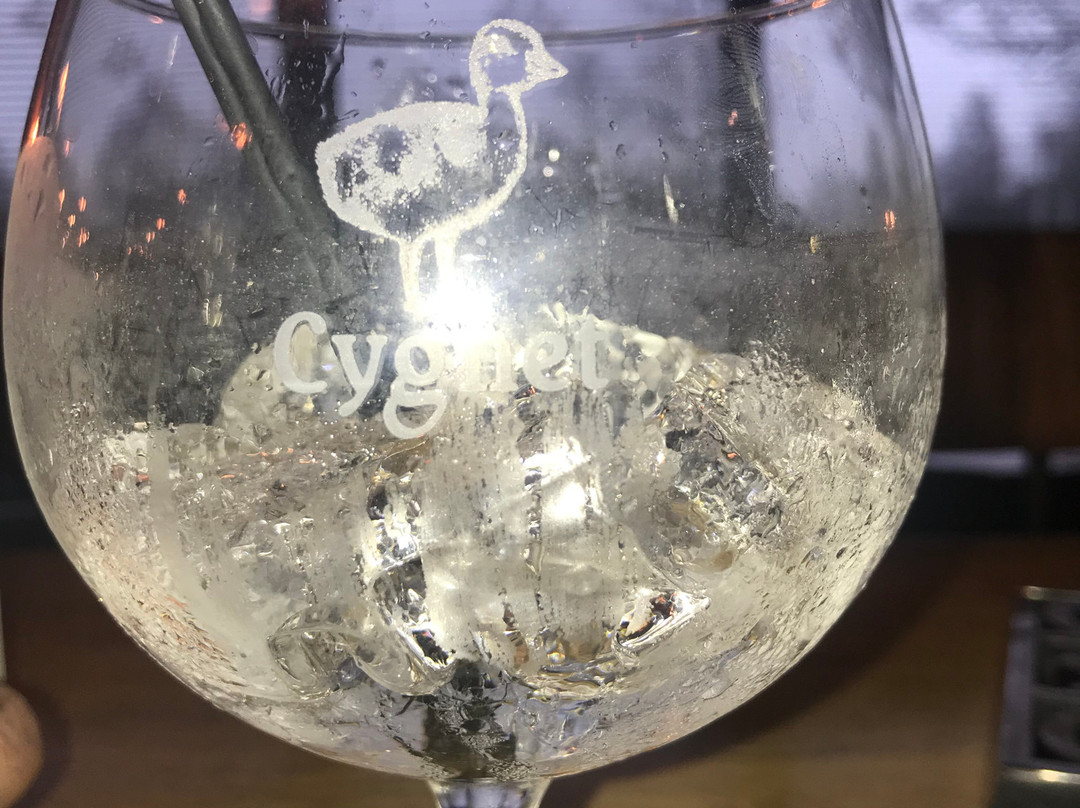 Cygnet Distillery-斯温西必去景点