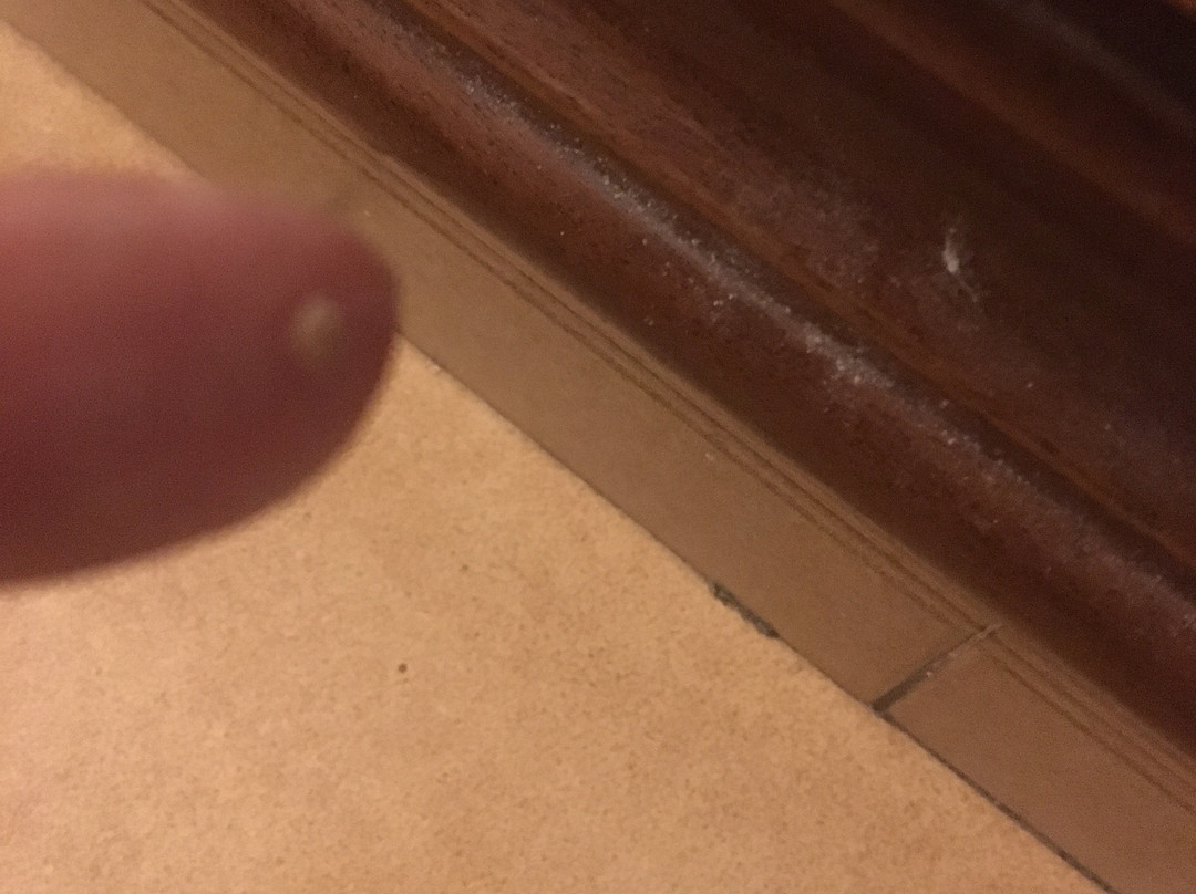 卡萨多酒店主图