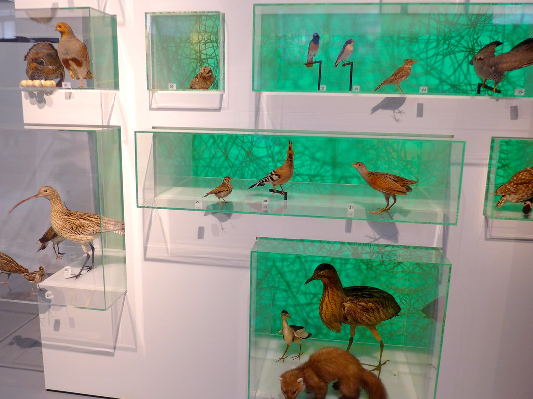 Naturmuseum Winterthur-温特图尔必去景点