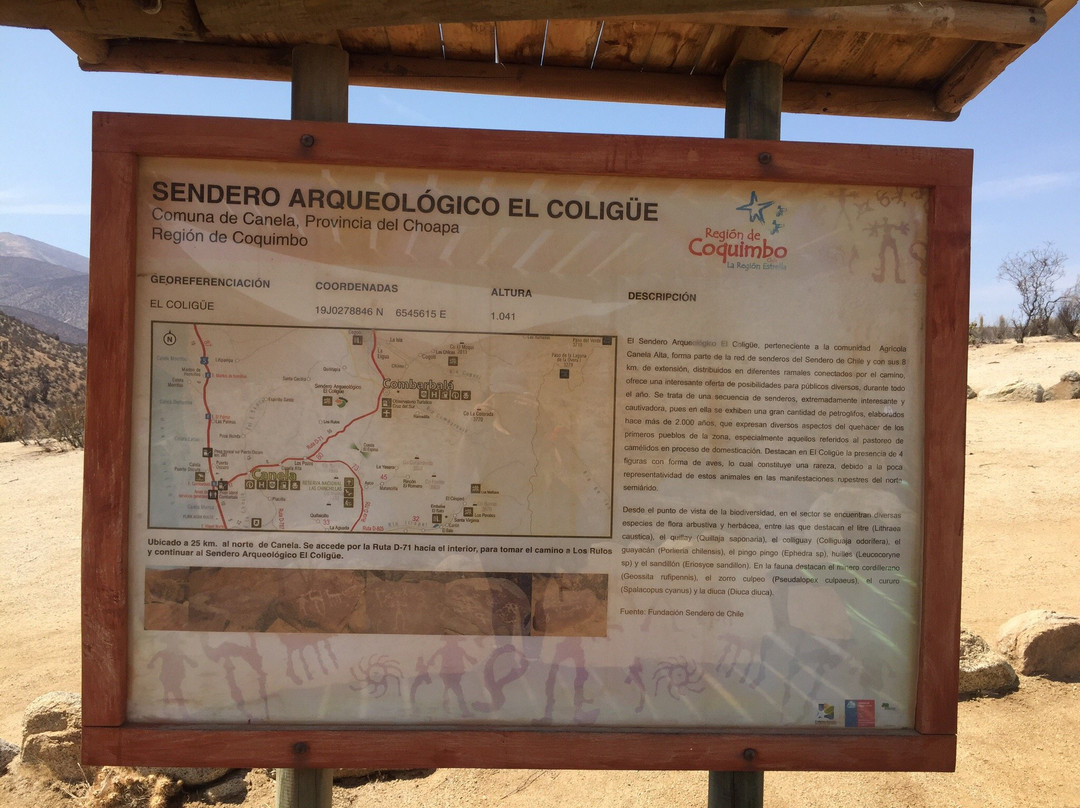 Reserva Nacional Las Chinchillas-Illapel必去景点