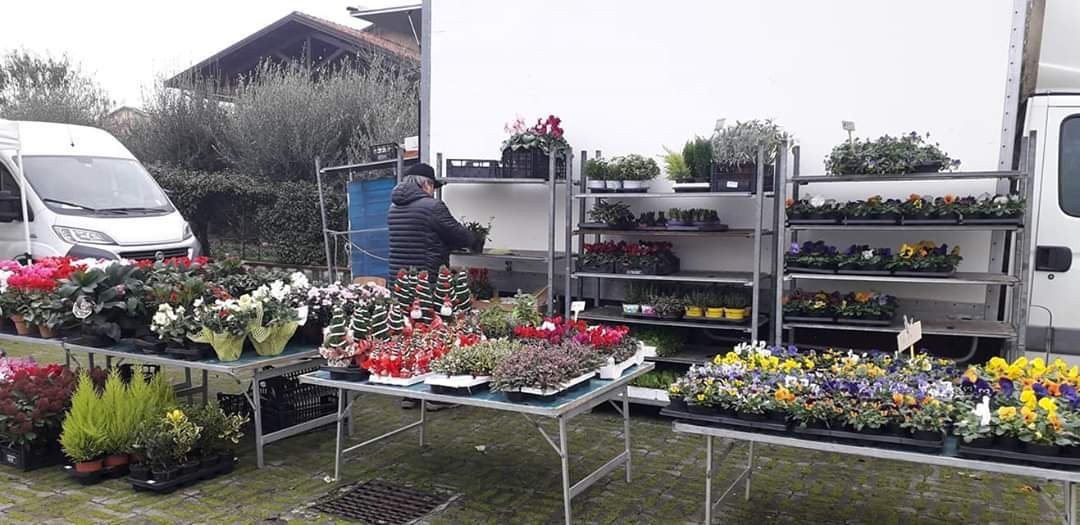 Mercato Contadino Km0景点图片