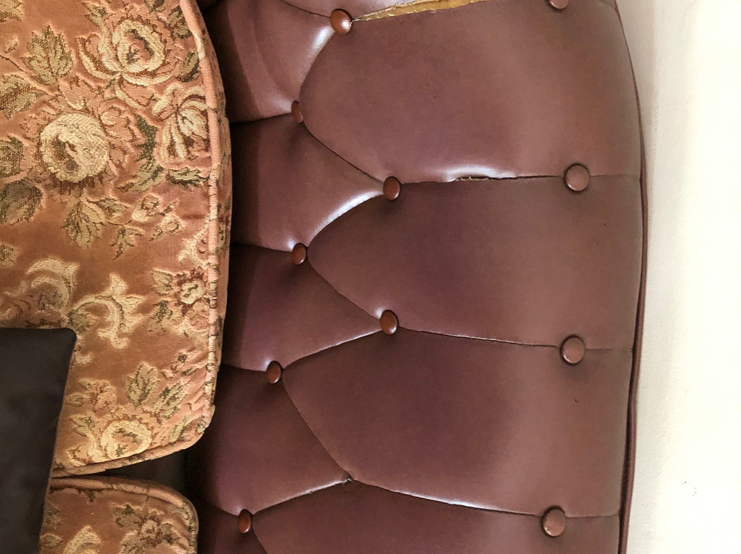 Black Swan Guest House主图