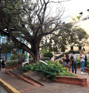 Plaza de la Catedral-圣胡安必去景点