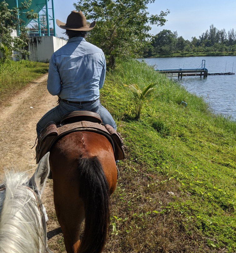 South Arabian Horse Club-拉克山必去景点