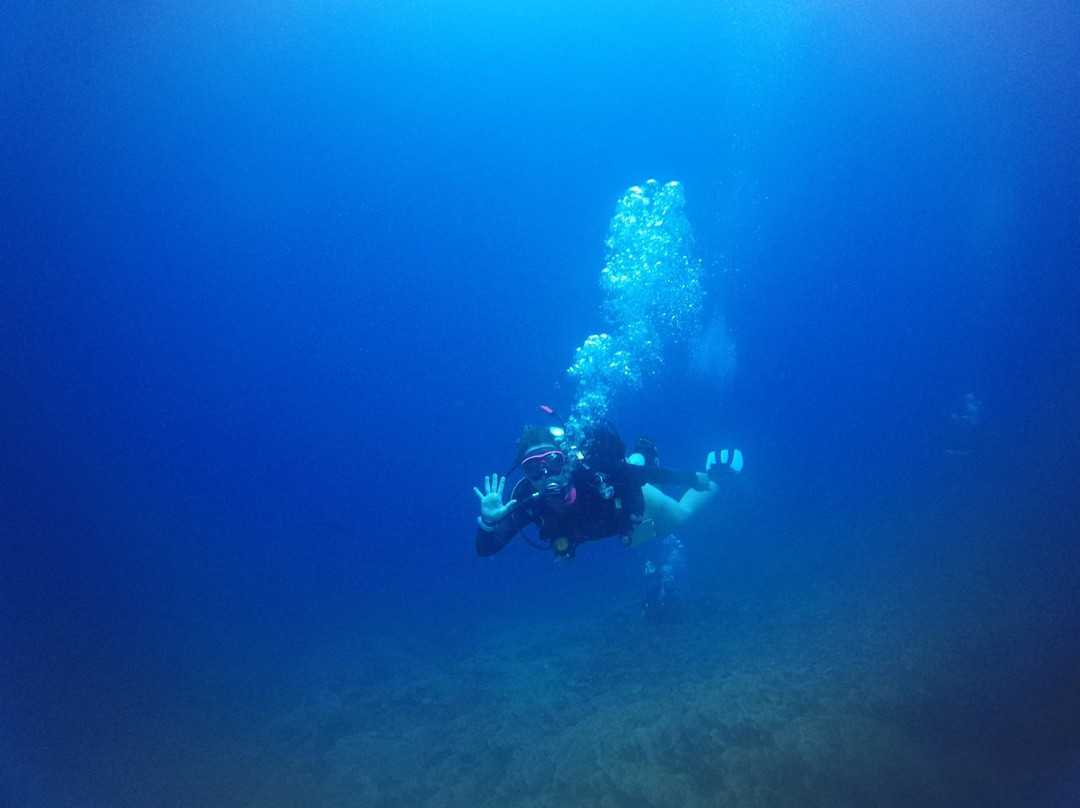 The Dive Shack景点图片