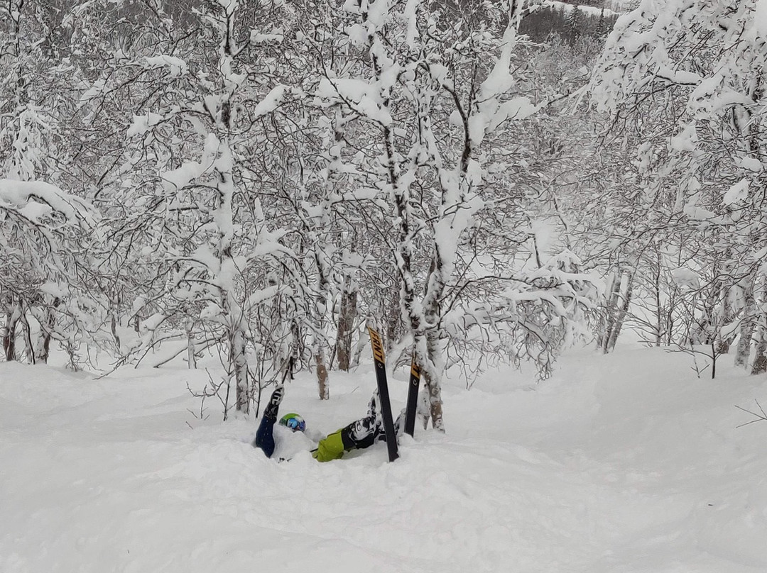 Kittelfjäll Ski Resort-Kittelfjäll必去景点