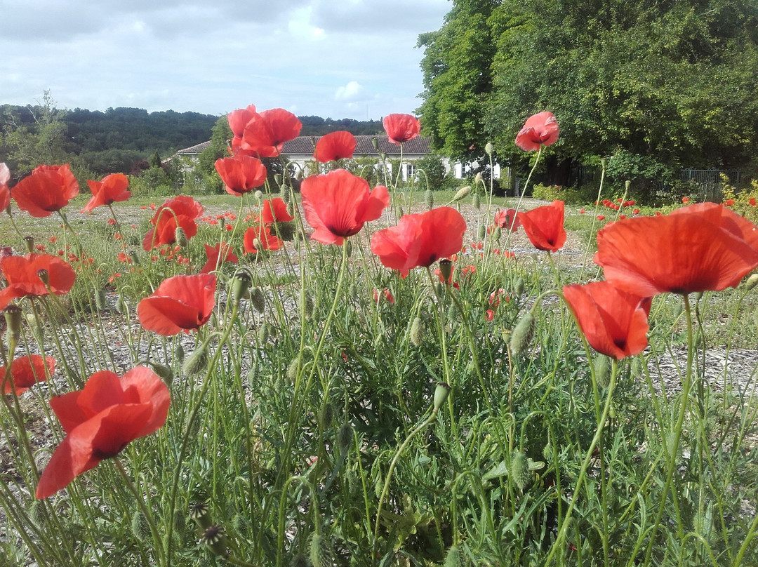 Domaine Du Chatelard主图