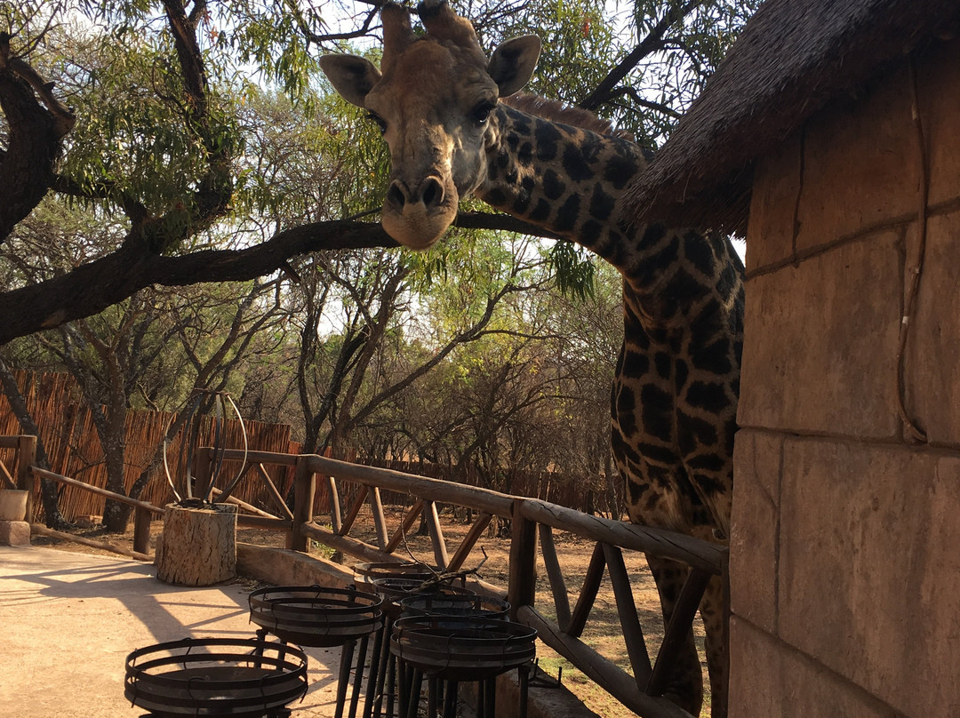 Albatros Travel-Century City必去景点