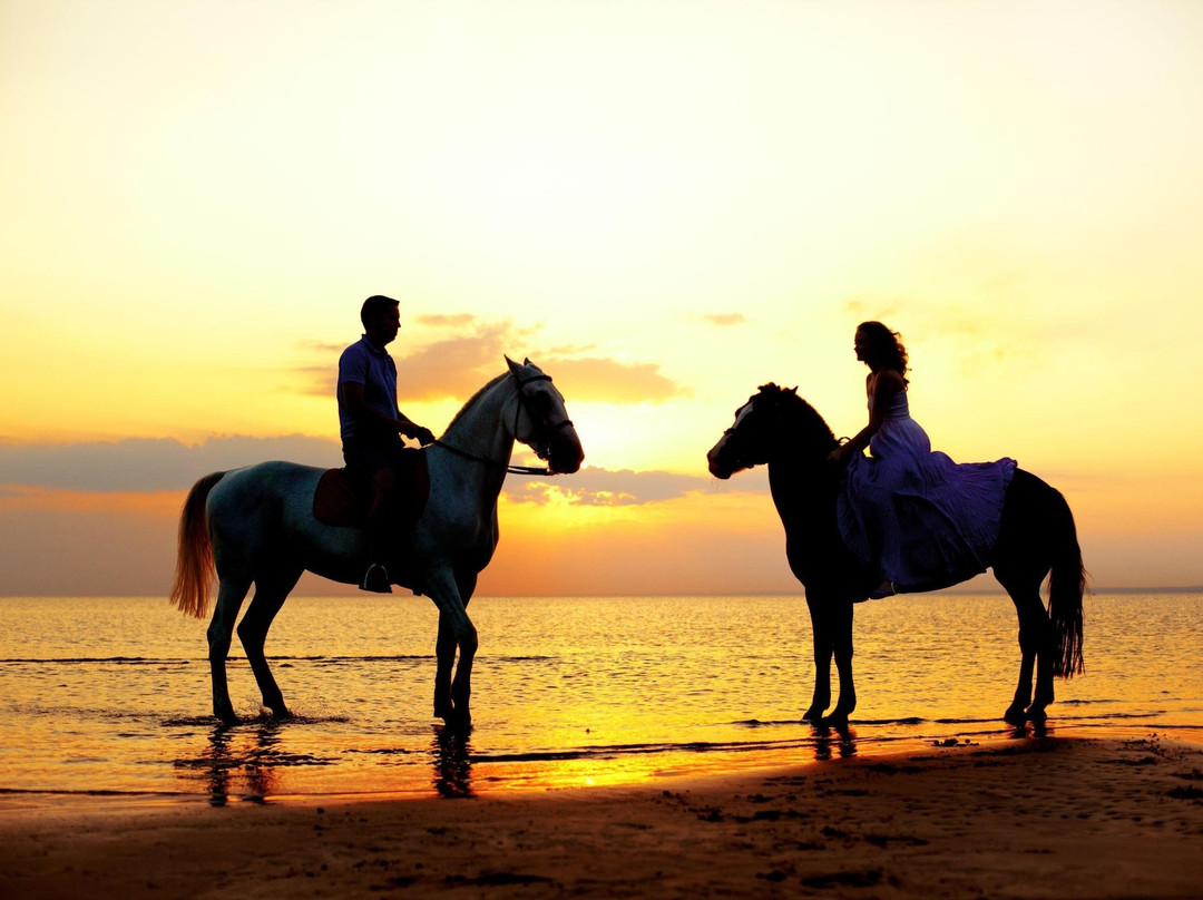 Best Cabo Tours LLC-圣何塞卡波必去景点