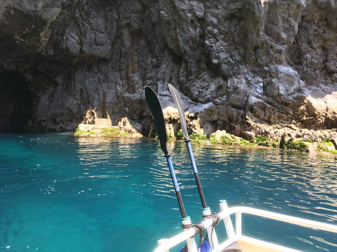 Gulf Eco Adventures-奥克兰中心地区必去景点