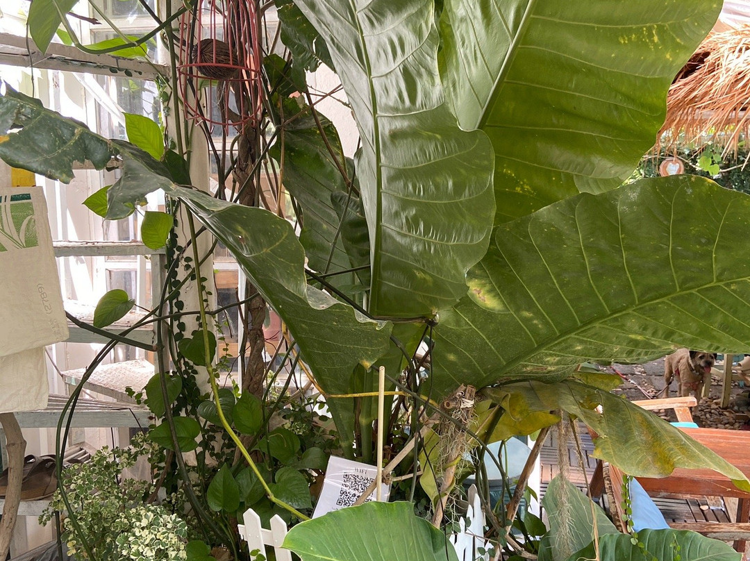 海洋和谐生态小屋主图