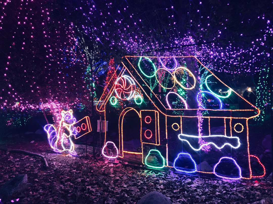 California Living Museum-贝克斯菲尔德必去景点