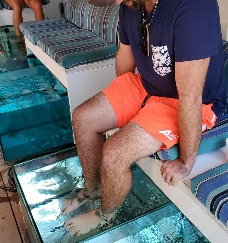 Islander Fish Spa-考祖梅必去景点