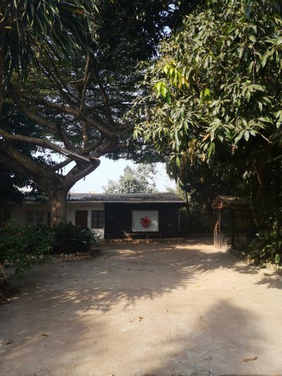 Musée Ethnographique des Peuples de la Fôret景点图片