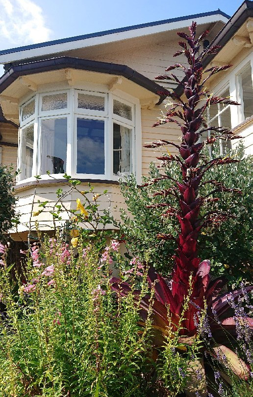 Parituhu Bed and Breakfast主图