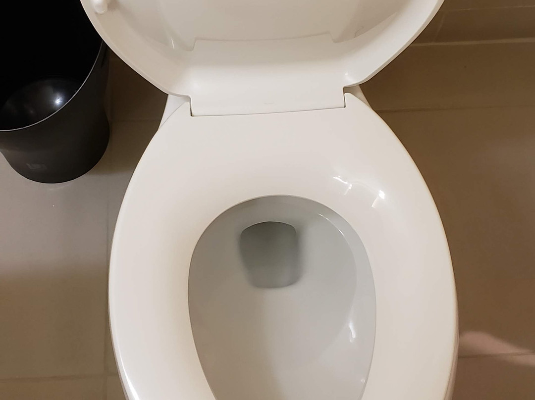 泰森斯角威斯汀酒店主图