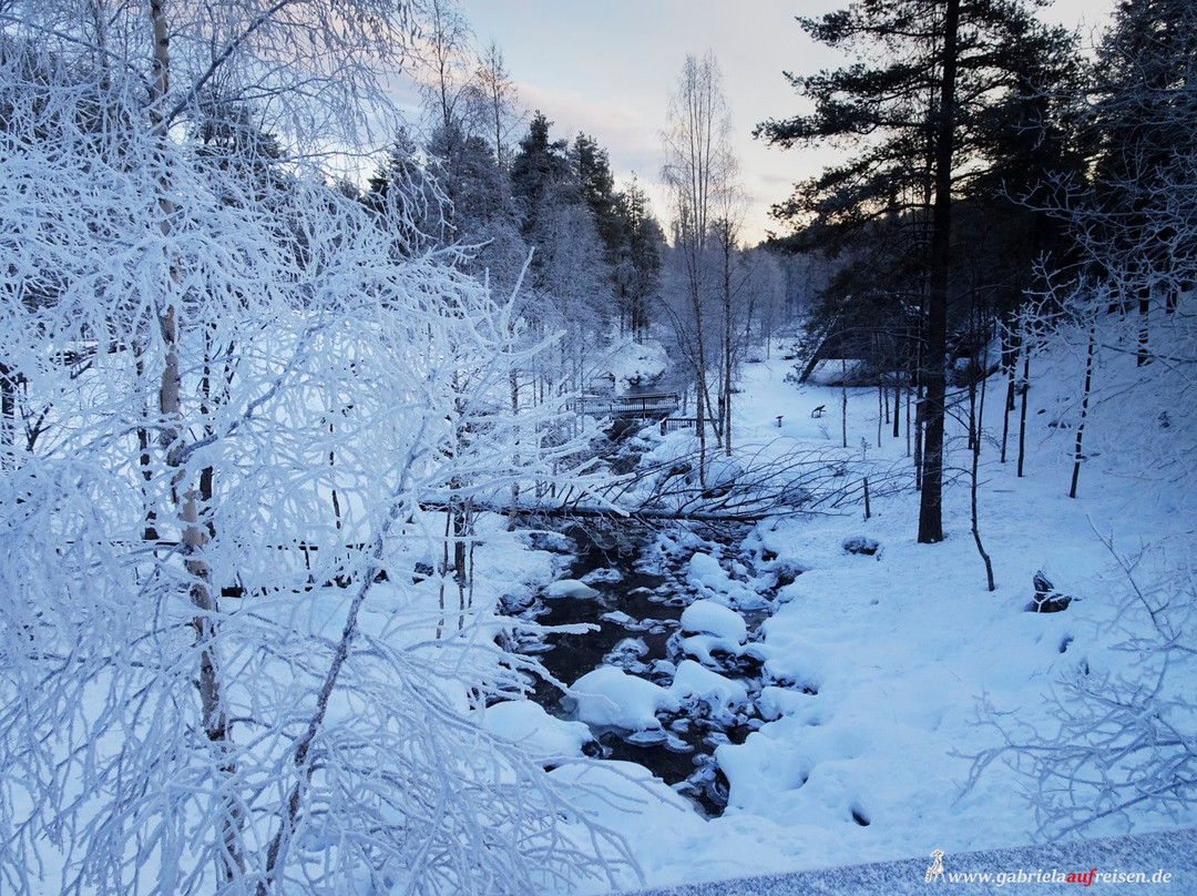 Essense of Lapland景点图片
