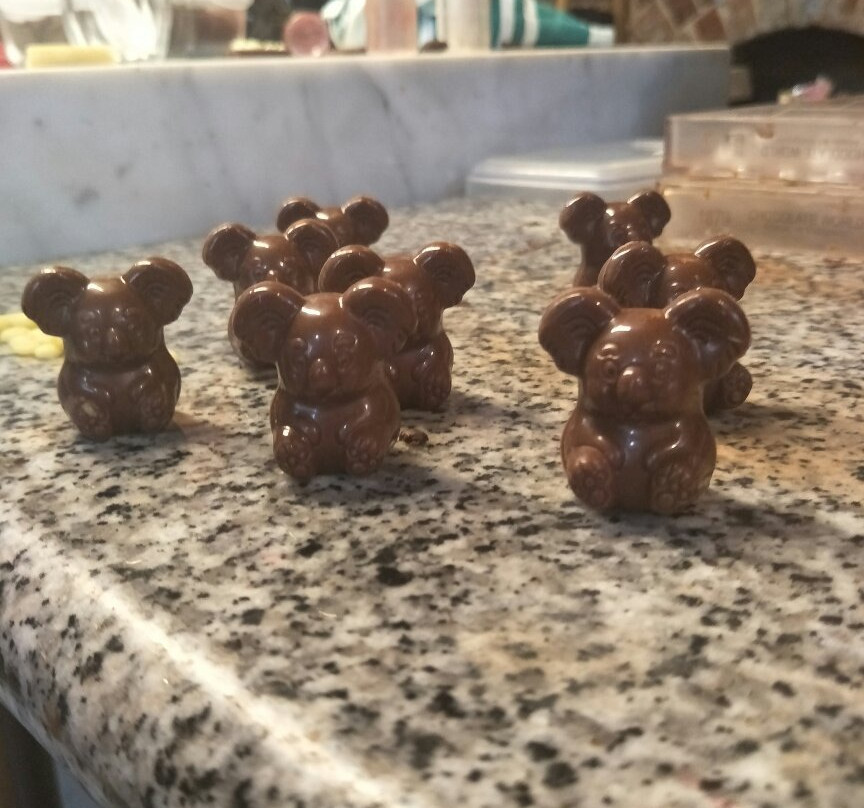 Foodi景点图片