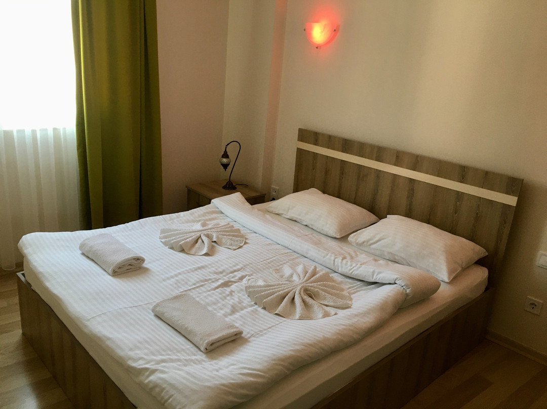Karacan Park Hotel主图