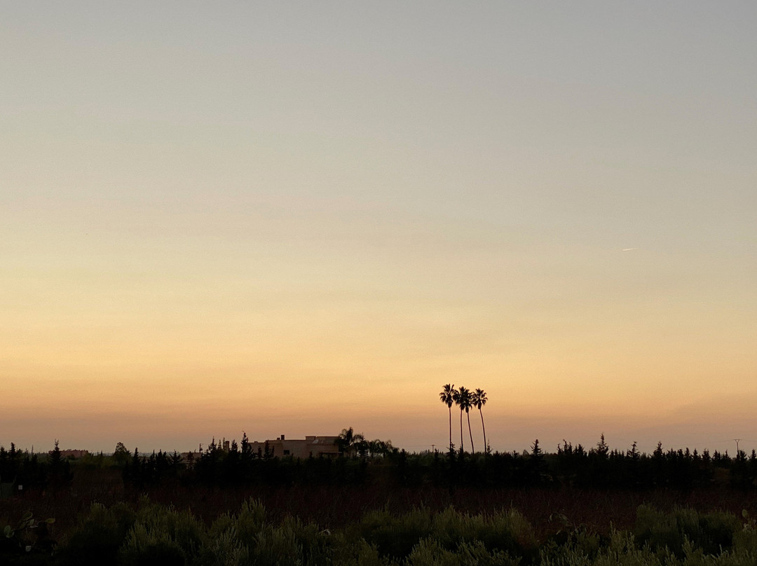 Riad Al Mendili Kasbah主图