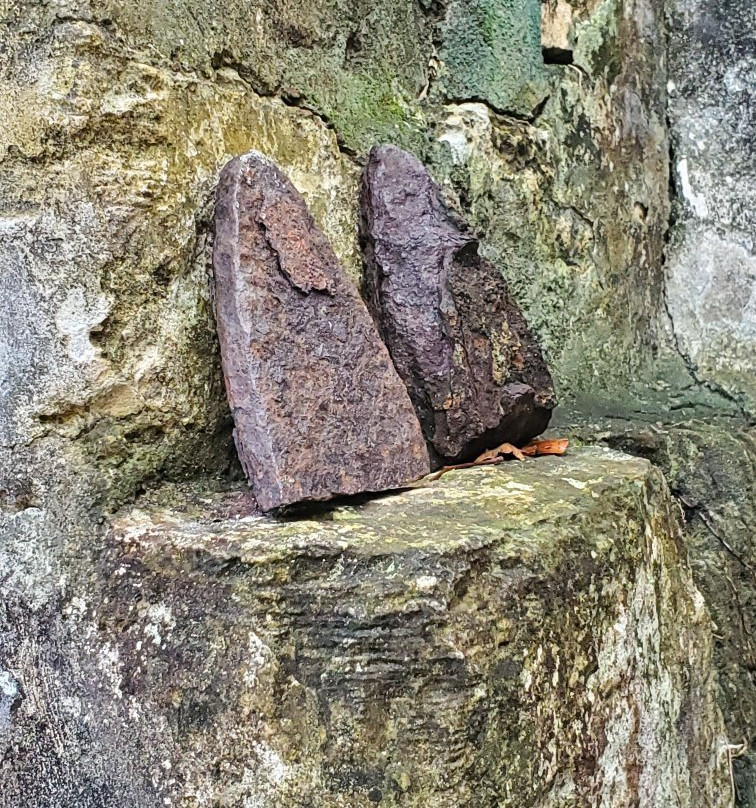 Wade's Green Plantation-North Caicos必去景点