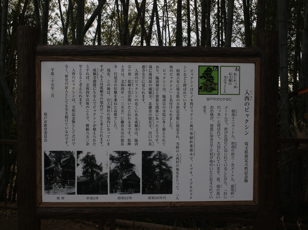 Ishigami Shrine-坂户市必去景点