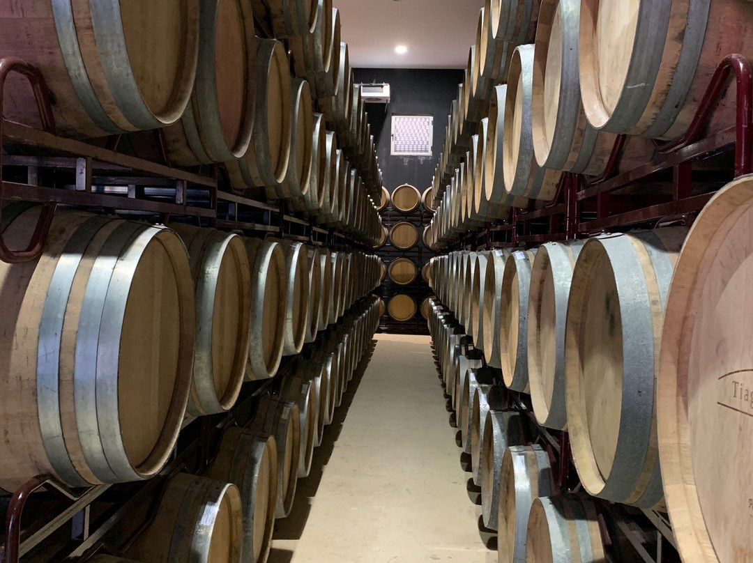 Tiago Cabaço Winery景点图片