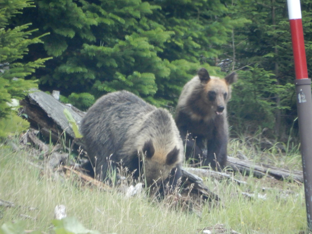 Nonaka Onsen Honkan-足寄町必去景点