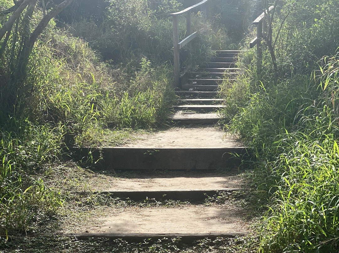 Hazel Bazemore Park-科珀斯克里斯蒂市必去景点