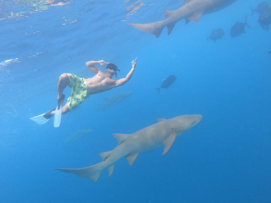 Day Tours Maafushi-马富士岛必去景点