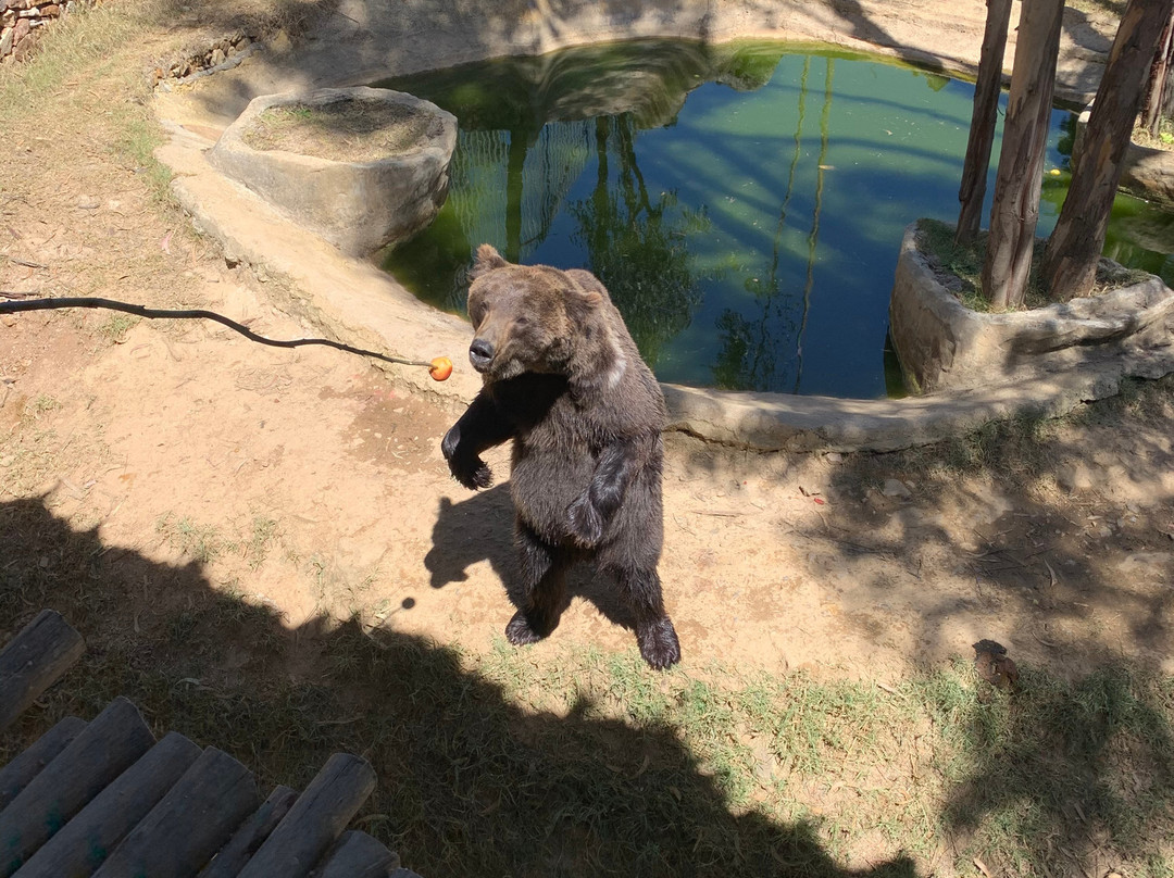 Bioparque Guátika-Tibasosa必去景点