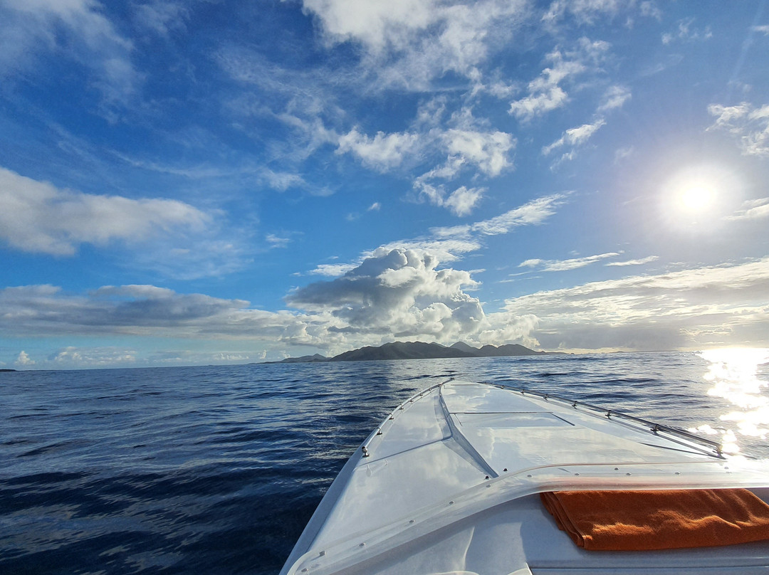 Sonic Xperience-辛普森湾必去景点