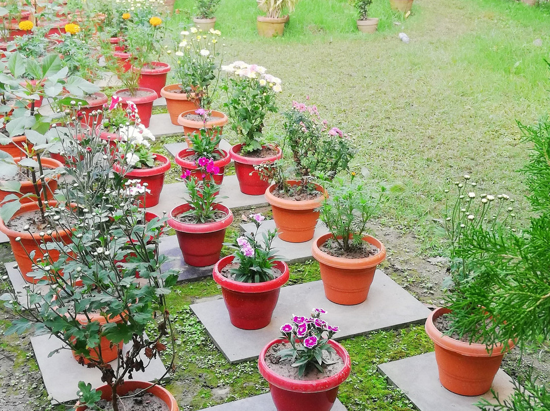 The Majestic Suites主图