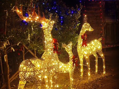 Kamuro-大崎市必去景点