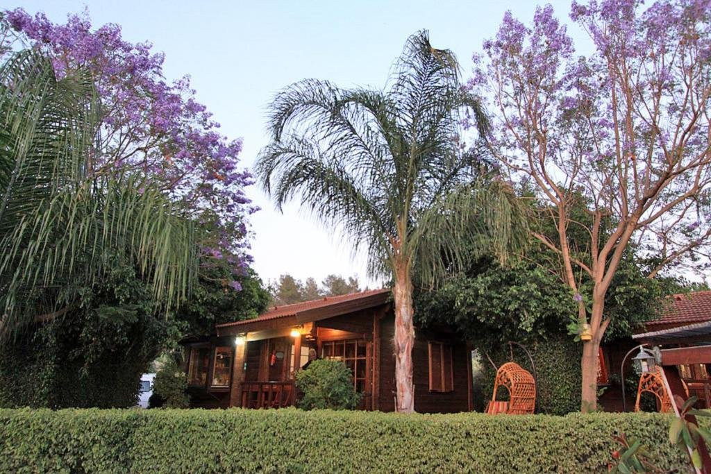 Biktot Eden - Eden Ramot Chalets