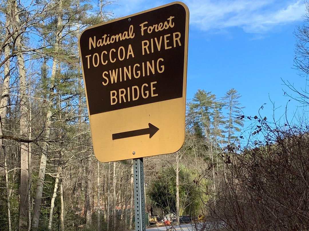 Toccoa River Swinging Bridge景点图片